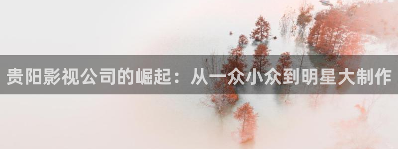 木瓜电影在线：贵阳影视公司的崛起：从一众小众到明星大制作