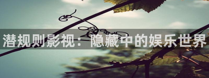 木瓜网电视剧在线观看：潜规则影视：隐藏中的娱乐世界