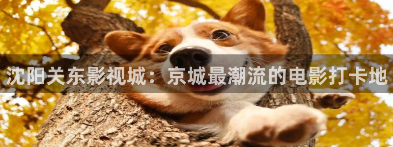 木瓜可以：沈阳关东影视城：京城最潮流的电影打卡地
