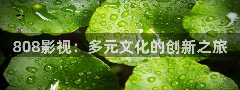 木瓜影院免费：808影视：多元文化的创新之旅