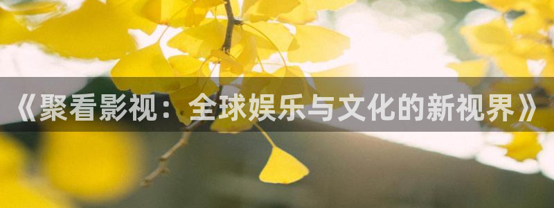 木瓜成人影院：《聚看影视：全球娱乐与文化的新视界》