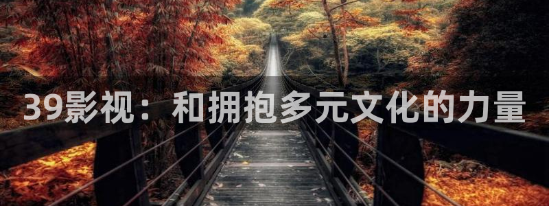美国木瓜：39影视：和拥抱多元文化的力量