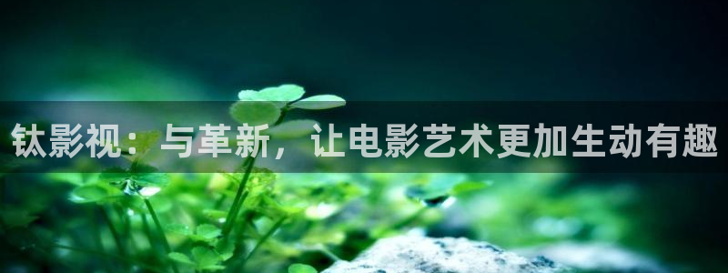 木瓜免费视频：钛影视：与革新，让电影艺术更加生动有趣